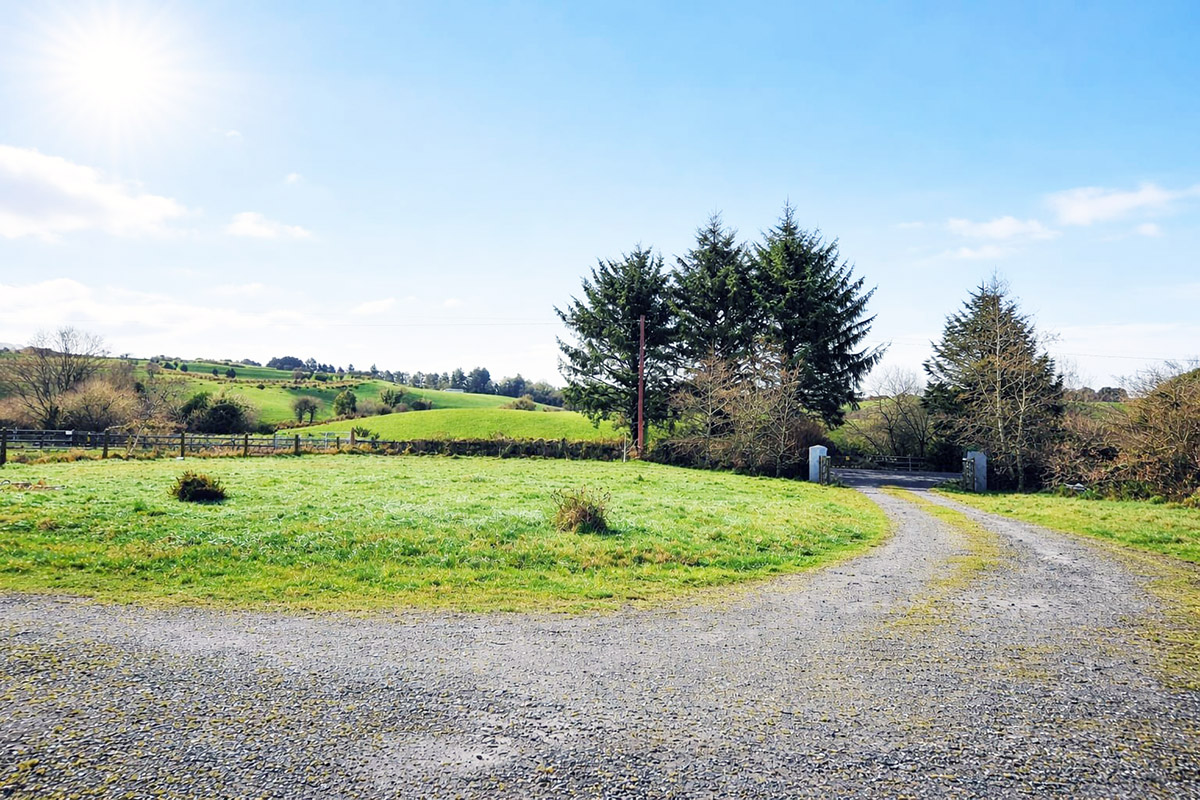 IMG-20251217-WA0002 (002)