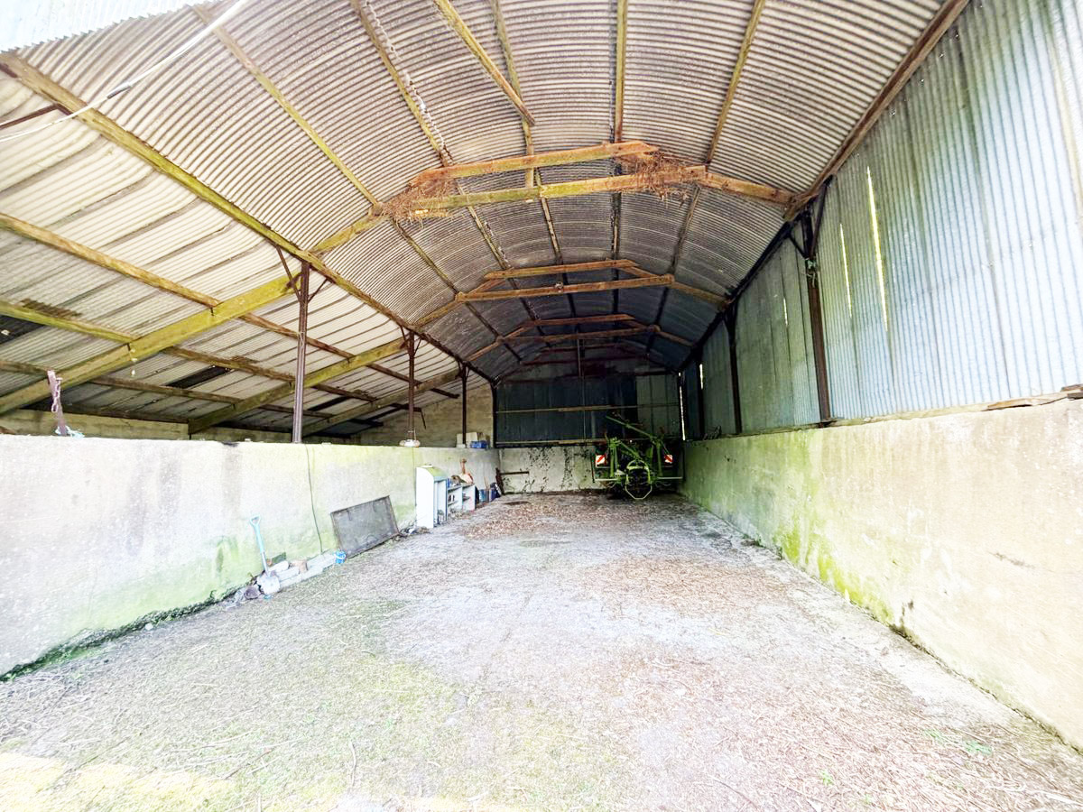 pic 40