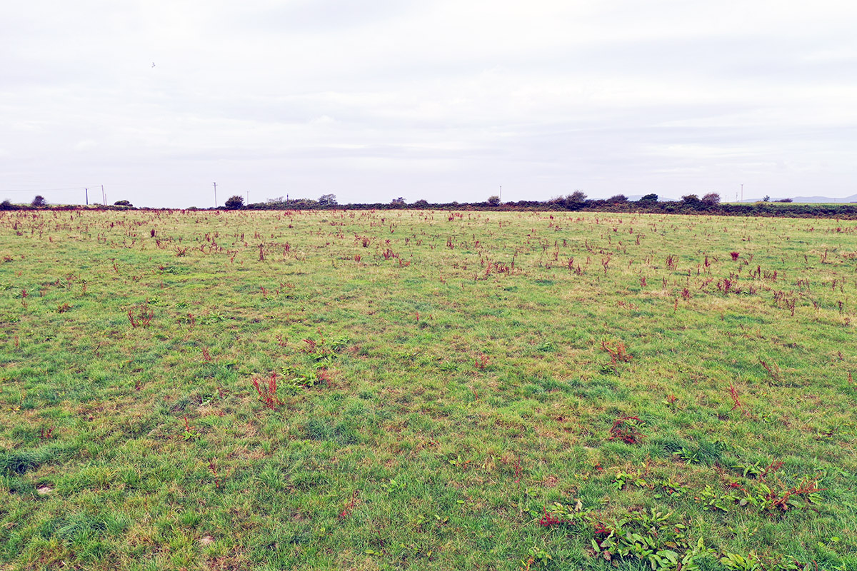 DJI_0850